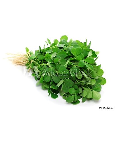 Fresh Methi Leaves-8312466