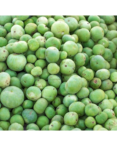 Fresh Tinda-8312472