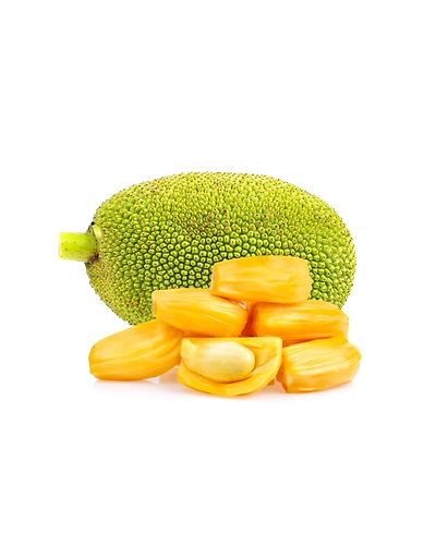 jackfruit-8312474