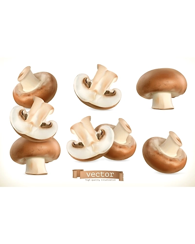 Mushrooms-8312496