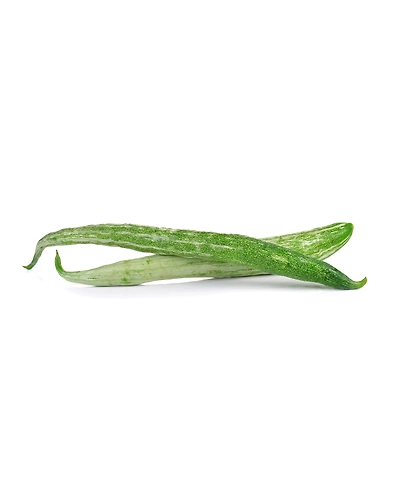 Snake Gourd-8312504
