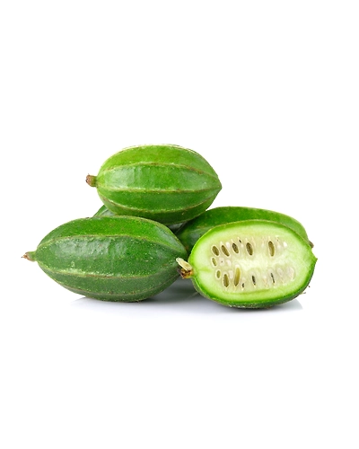 sponge gourd-8312518