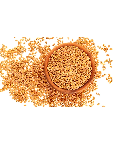 Wheat-8312026