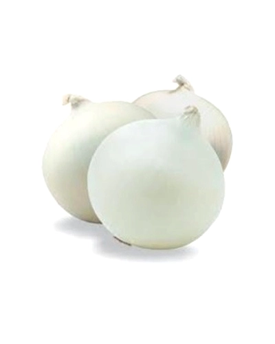 white onion-8312282