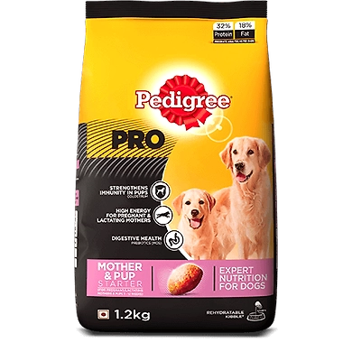 Pedigree Professional Starter Mother and Pup-SKU-VIJ-0011
