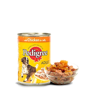 Pedigree Gravy Adult Chicken in Jelly-SKU-VIJ-0067