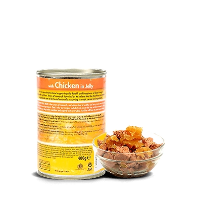 Pedigree Gravy Adult Chicken in Jelly-400 Gm-1
