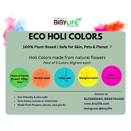 BiSy Group Eco Holi Colors