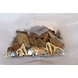 Ambul (Dried Mango) - 1000 gm-MSTB_768119_TB1114_AD_1-sm
