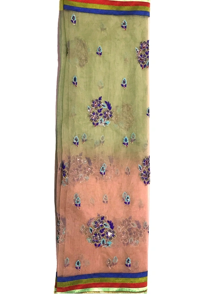 Shaded Net Embroidered Saree-2
