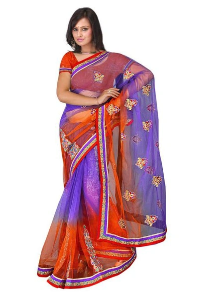 Blue Shaded Net Embroidered Saree-2