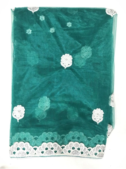 Green Net Embroidered Saree-267