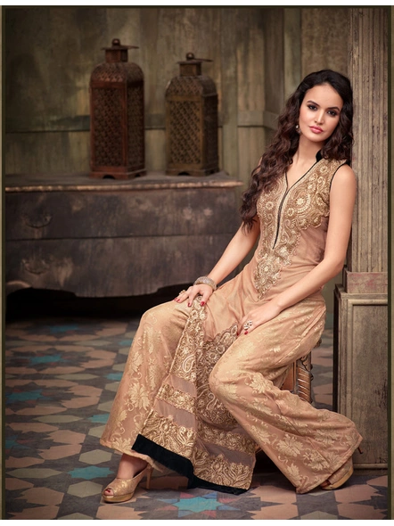 Net Embroidered Suit In Beigh-E553