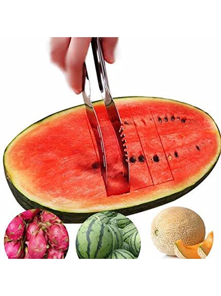 Steel Amazing Watermelon Slicer Cutter (Pack of 1) G160-2
