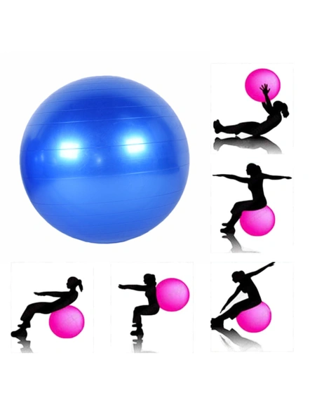 Anti-Burst Fitness Exercise Stability Yoga Gym Balls with Foot Pump, for Exercise Home, Balance, Gym, Core Strength, Yoga, Fitness 75cm (Multi-Color) G167-5