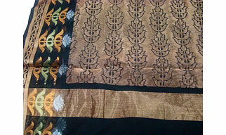 Black Cotton Silk Banarasi Saree