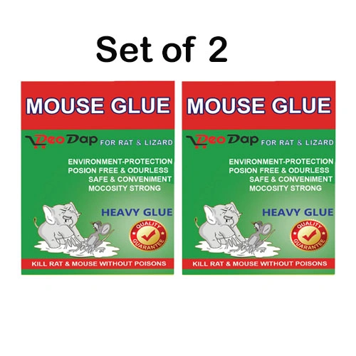 Buy Mice Insect Rodent Lizard Trap Rat Catcher Adhesive Sticky Glue Pad At  Sehgall - G163A