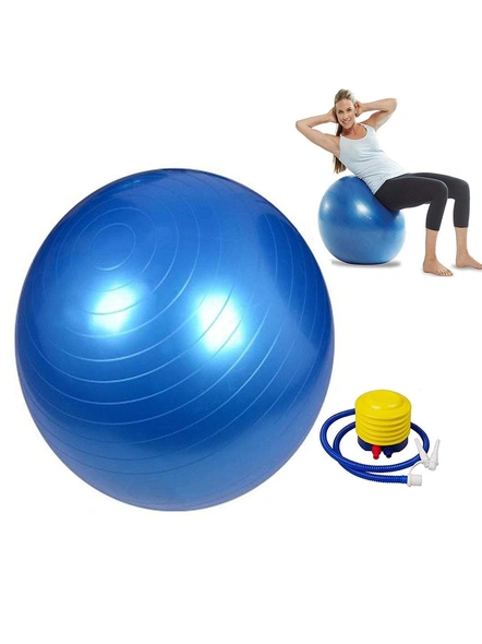 Buy Anti-Burst Fitness Exercise Stability Yoga Gym Balls with Foot Pump 65cm (Multicolor) At Sehgall G167A-3