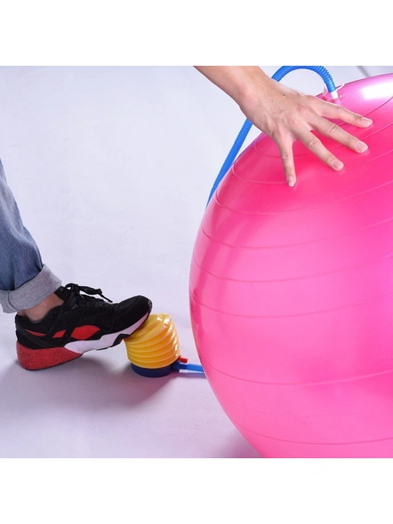 Buy Anti-Burst Fitness Exercise Stability Yoga Gym Balls with Foot Pump 65cm (Multicolor) At Sehgall G167A-5