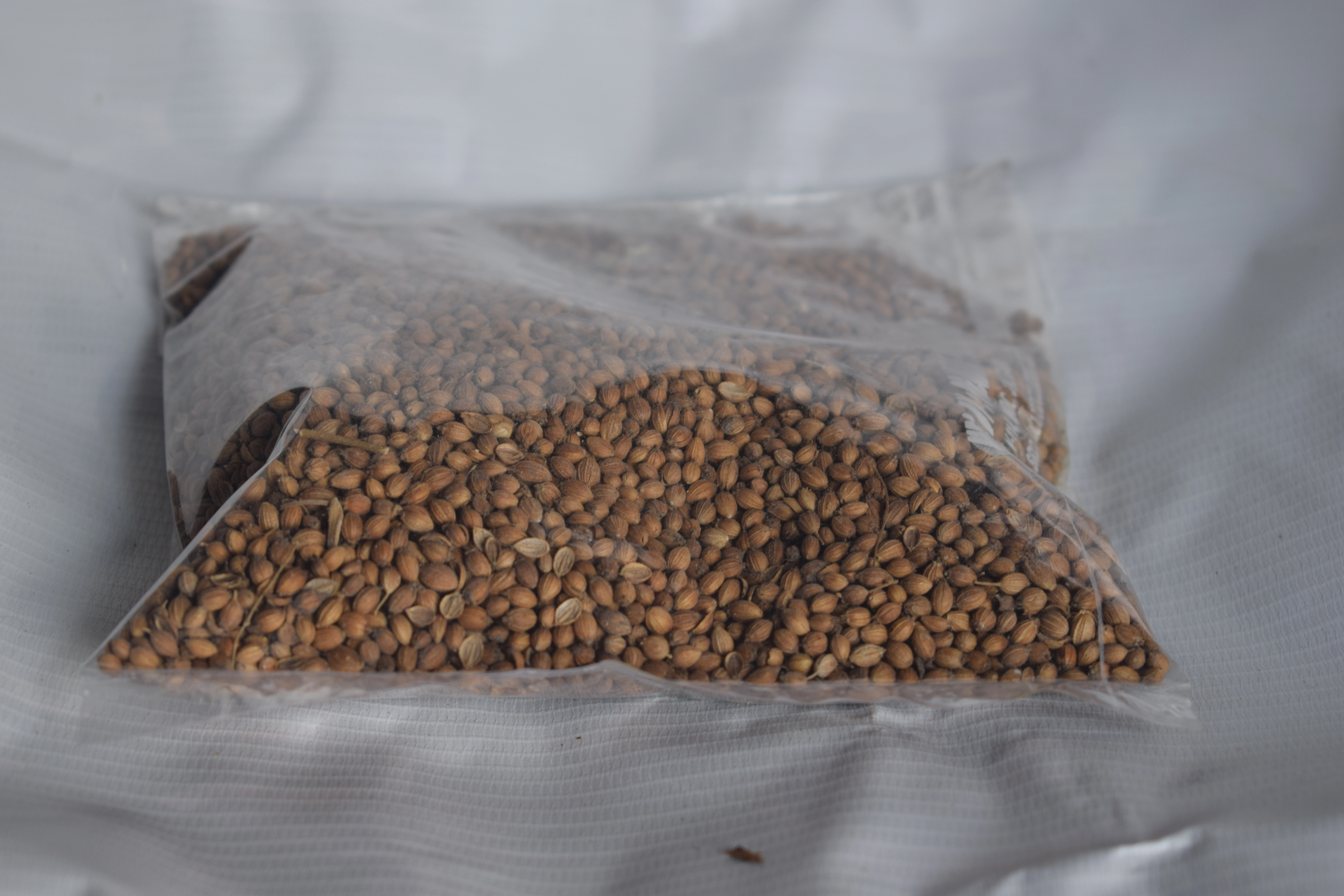 Gota Dhania (Raw Dhaniya/Coriander) - 100 gm-JMATB_768108_TB1121_GDRDC_1