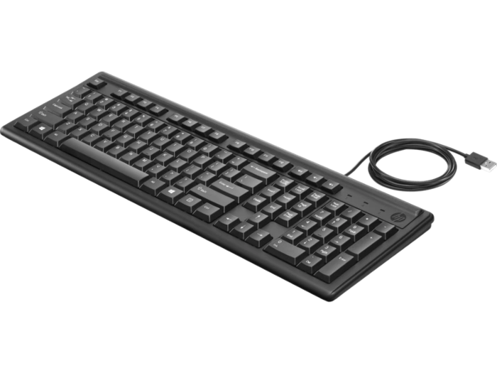 HP Wired Keyboard 100-1