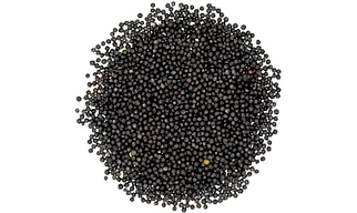 Mustard - 1000 gm