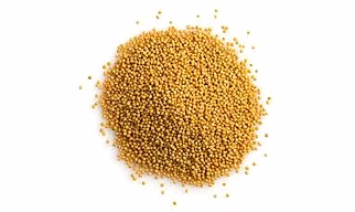 White Mustard - 1000 gm