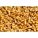 Wheat-MCDC-01-sm