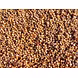 Jowar-MCDC-04-sm