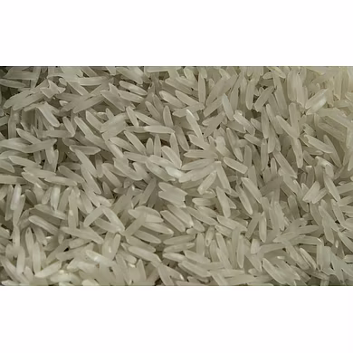 Rice-MCDC-10