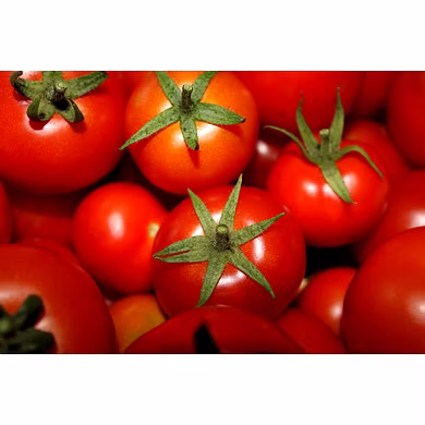 Tomato-MCDC-191