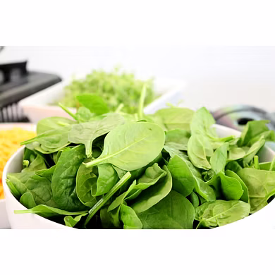 Spinach-MCDC-225