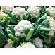 Cauliflower-MCDC-244-sm