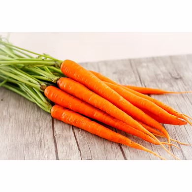 Carrot -MCDC-300