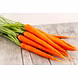 Carrot -MCDC-300-sm