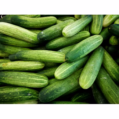 Cucumber-MCDC-301