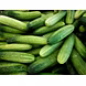 Cucumber-MCDC-302-sm