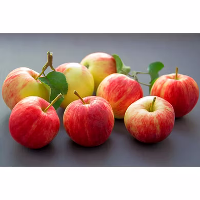 Apple -MCDC-319