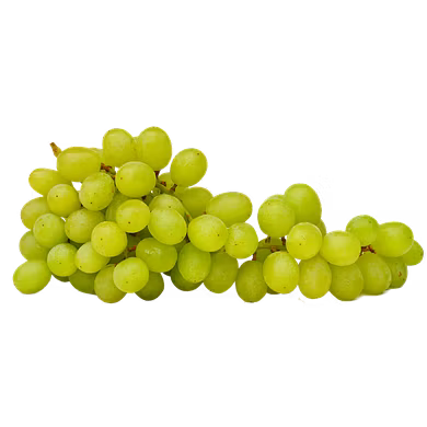 Grapes-MCDC-331