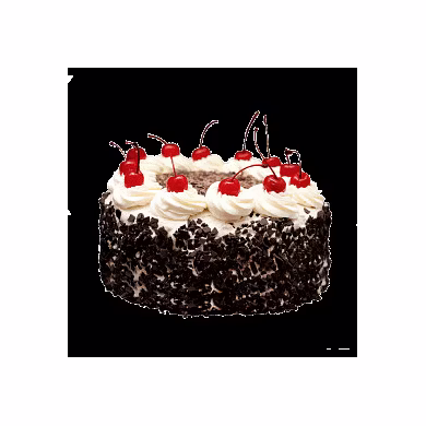 BASKIN-BLACK FOREST CAKE 500GMS-G06II17B03BLA001