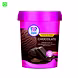 BASKIN-CHOCOLATE 450ML-G06RI11B03CHO004-sm