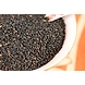 Black sesame / Kari Yellu 50g-EIPS830431-sm