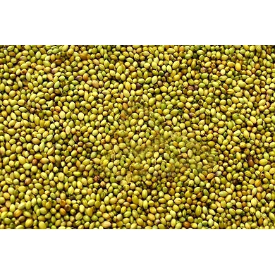 Dhaniya / Kothombari beeja 1/2KG-EIPS830433