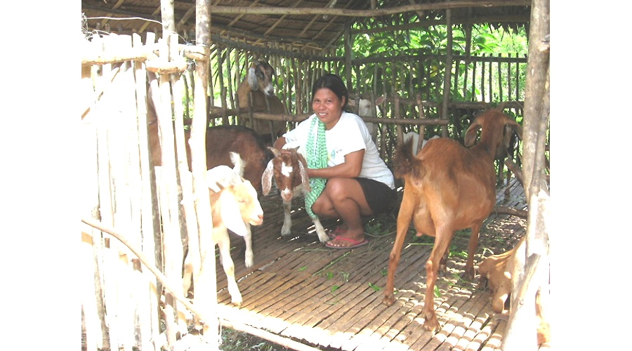 Benefits of goat raising...