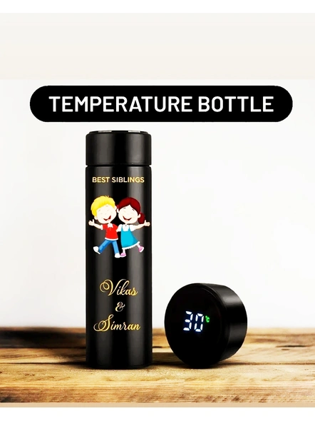 Temperature Bottle-4