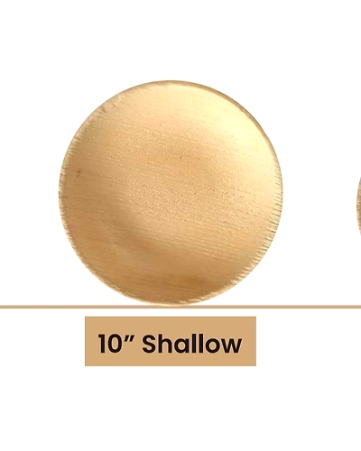 10&quot; Shallow-ARECA-SW2-10