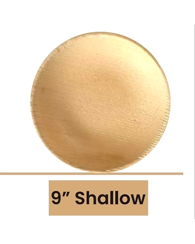 9&quot; Shallow-ARECA-SW3-9