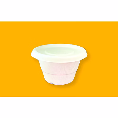16oz container (lid available)