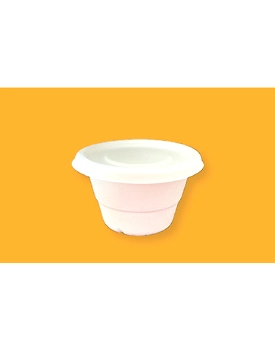 16oz Container (Lid Available)