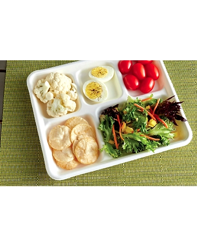 5  Compartment Plates School Tray-2